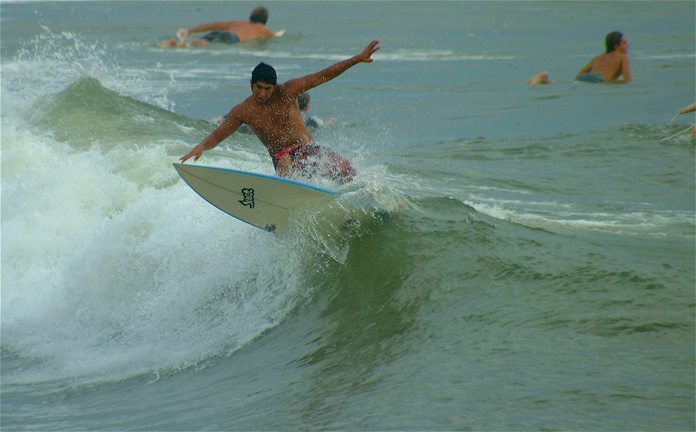 (29) Dscf3853 (bushfish - morning surf 1).jpg   (1000x620)   216 Kb                                    Click to display next picture